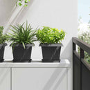 Firkantet Blomsterkrukke 6 pcs Sort 23 x 23 x 17,5 cm Plastik
