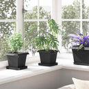 Firkantet Blomsterkrukke 24 pcs Sort 16 x 16 x 14 cm Plastik