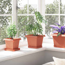 Firkantet Blomsterbakke 6 pcs Mursten Rød 15 x 15 x 2 cm