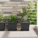 Firkantet Blomsterbakke 6 pcs Sort 21 x 21 x 2 cm Plastik