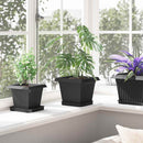 Firkantet Blomsterbakke 24 pcs Sort 15 x 15 x 2 cm Plastik