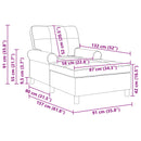 Chaise Lounge med pude Lysegrå 91 x 157 x 91 cm Fløjl