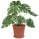 Plantepotter 6 pcs Mursten Rød Ø 19 x 16 cm Plastik