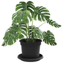 Plantepotter 6 pcs Sort Ø 12,5 x 10 cm Plastik