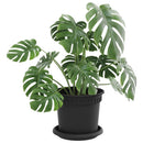 Plantepotter 6 pcs Sort Ø 15 x 12 cm Plastik