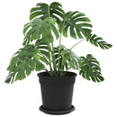Plantepotter 6 pcs Sort Ø 17 x 14 cm Plastik