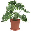 Plantepotter 24 pcs Mursten Rød Ø 17 x 14 cm Plastik