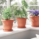 Plantepotter 6 pcs Mursten Rød Ø 22 x 18 cm Plastik