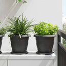 Plantepotter 6 pcs Sort Ø 22 x 18 cm Plastik