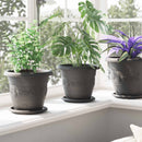 Plantepotter 6 pcs Sort Ø 22 x 18 cm Plastik