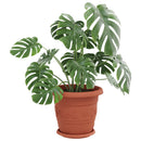 Plantepotter 24 pcs Mursten Rød Ø 30 x 25 cm Plastik