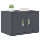 Opbevaringsskab Antracit 60 x 40 x 40 cm Stål