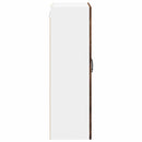 Vægskab LUCCA Gammelt træ 60 x 31 x 100 cm Konstrueret træ