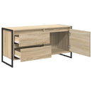 TV-skab 100 x 36 x 49,5 cm Sonoma-eg Konstrueret træ