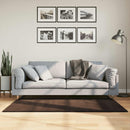 Medium luv blød og vaskbar tæppe HUARTE Brun 150 x 80 cm