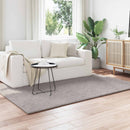 Områdetæpper SIROLO Sandfarvet 230 x 160 cm Polyester