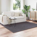 Områdetæpper Firkantet SIROLO Antracit 200 x 200 cm Polyester