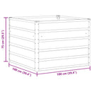Plantekasse Lysegrå 100 x 100 x 75 cm Stål
