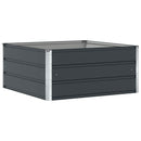Plantekasse Antracit 100 x 100 x 45 cm Stål