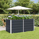 Plantekasse Antracit 160 x 80 x 75 cm Stål