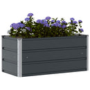 Plantekasse Antracit 100 x 50 x 45 cm Galvaniseret stål