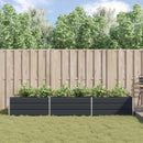 Plantekasse Antracit 290 x 100 x 45 cm Galvaniseret stål