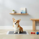 Non-vævet stof pet træningspude 100 pcs Sort og Hvid 90 x 60 cm