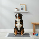 Non-vævet stof pet træningspude 50 pcs Sort og Hvid 120 x 80 cm