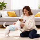 Engangs hundepants, til hanhund 30 pcs Hvid XS