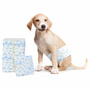 Engangs hundepants, til hanhund 30 pcs Hvid XS