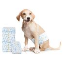 Engangs hundepants, til hanhund 30 pcs Hvid S