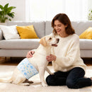 Engangs hundepants, til hanhund 50 stk. Hvid S