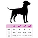 Engangs hundepants, til hanhund 50 stk. Hvid S