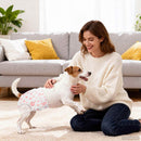 Engangs hundetrusser til hunhunde 50 stk. Hvid XS