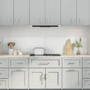 Køkkenbacksplash 2 pcs Transparent 100 x 40 cm hærdet glas