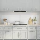 Køkkenbacksplash 2 pcs Transparent 100 x 50 cm hærdet glas