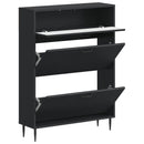 Sko skab HAARLEM 78 x 24 x 103 cm Konstrueret træ Sort
