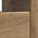 LED TV-skab Artisan-eg Konstrueret træ