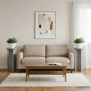 Planteholder 2 pcs Grå sonoma-eg 29,5 x 29,5 x 60 cm