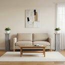 Planteholder 2 pcs Grå sonoma-eg 30,5 x 30 x 80,5 cm