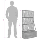Havekrukke med trellis Grå 70 x 30 x 135 cm polyrattan