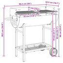Kulgrill 96,5 x 42,5 x 88,5 cm Sort