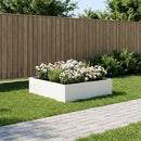 Have Blomsterkrukke Hvid 80 x 80 x 30 cm Koldvalset stål
