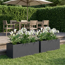 Have Blomsterkrukke 2 stk. Antracit 60 x 20 x 20 cm
