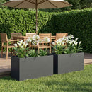 Have Blomsterkrukke 2 stk. Antracit 100 x 50 x 50 cm