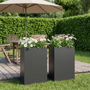 Have Blomsterkrukke 2 stk. Sort 50 x 20 x 75 cm Koldvalset stål