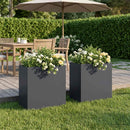 Have Blomsterkrukke 2 stk. Antracit 50 x 30 x 40 cm