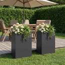 Have Blomsterkrukke 2 stk. Sort 50 x 30 x 75 cm Koldvalset stål