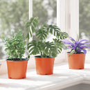 Rund Blomsterpotte 100 pcs Terrakotta Ø 10 x 8 cm Plastik