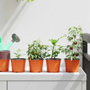 Rund Blomsterpotte 200 pcs Terrakotta Ø 10 x 8 cm Plastik